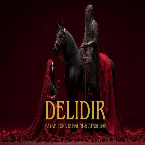 دانلود آهنگ دلیدیر از پیام تورک Payam Turk - Dəlidir